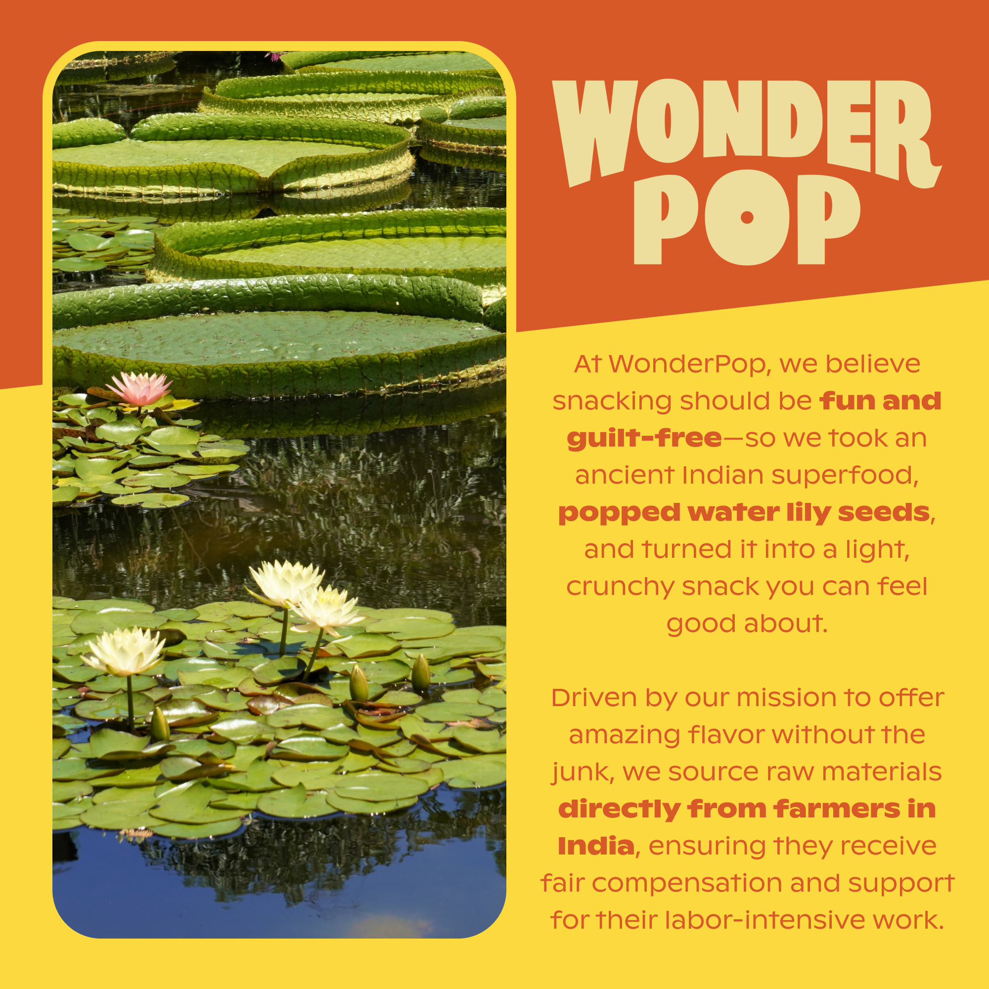 Chili Limon - Popped Water Lily Seeds