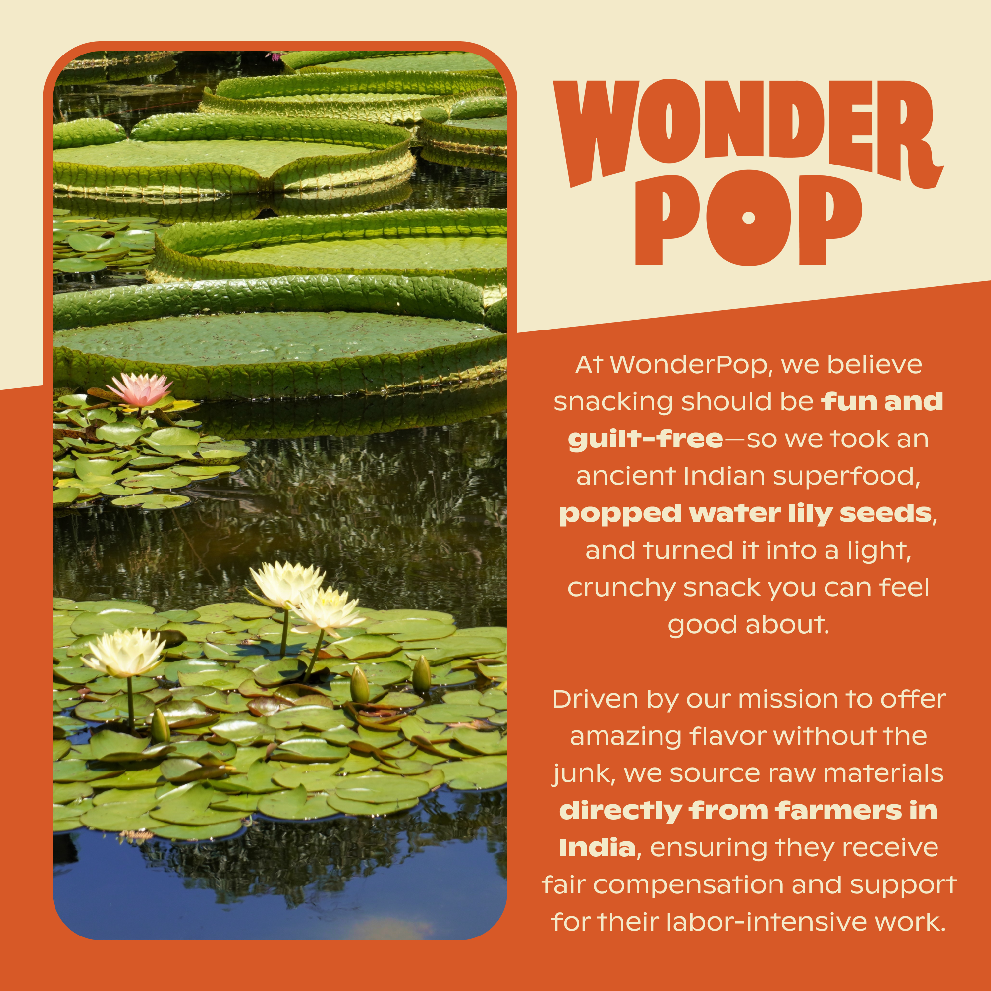 Variety Pack - Popped Water Lily Seeds